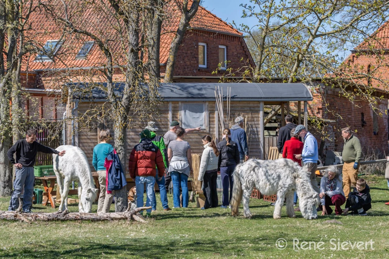 Hof Elbtalaue Rosien e.V. - Naturschutz-Veranstaltung: Bau eines Insektenhotels